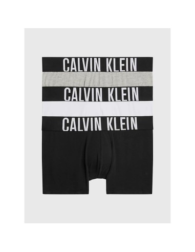 CALVIN KLEIN 000NB3608AMPI IN (M)