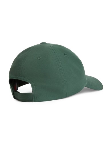 TOMMY HILFIGER GORRAS AM0AM14198_VE VERDE (COU)