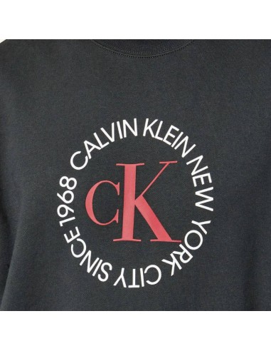 CALVIN KLEIN SUDADERA LV14RE250G_NG NEGRO (M)